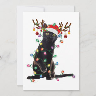 Reindeer Black Cat Christmas Lights Funny Cat Love Invitation