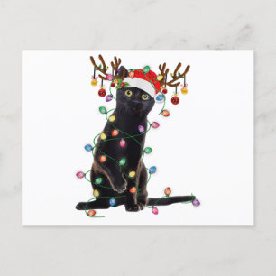 Reindeer Black Cat Christmas Lights Funny Cat Love Postcard