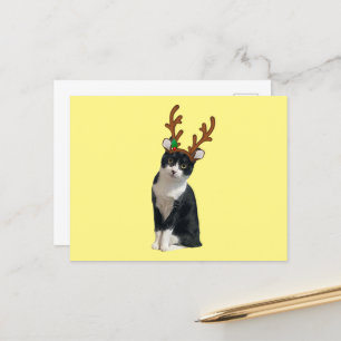 Reindeer Calliope Holiday Postcard