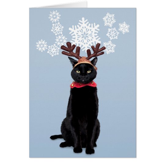 Reindeer Cat Brings Joy Card