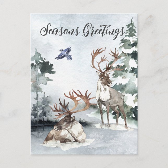 Reindeer Christmas Winter landscape Watercolor  Postcard (Front)