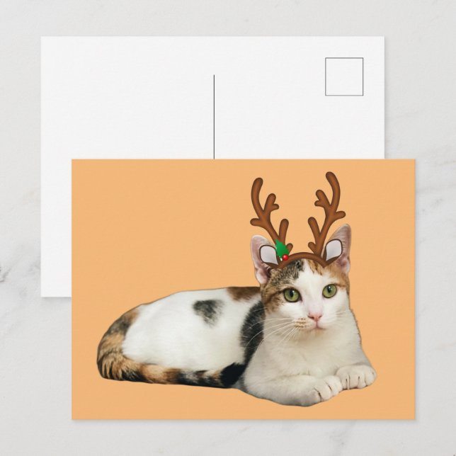 Reindeer Cleopatra Holiday Postcard (Front/Back)