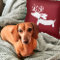 Reindeer Dachshund Pillow on Red