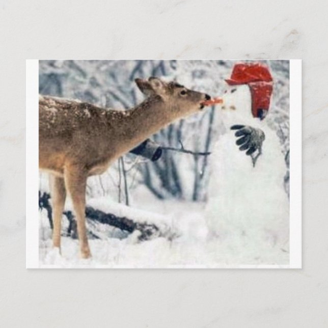 Reindeer Eating Snowman Postcard (Front)