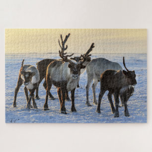 Reindeer Family in the Snow Jigsaw Puzzle