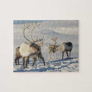 Reindeer Game Puzzle
