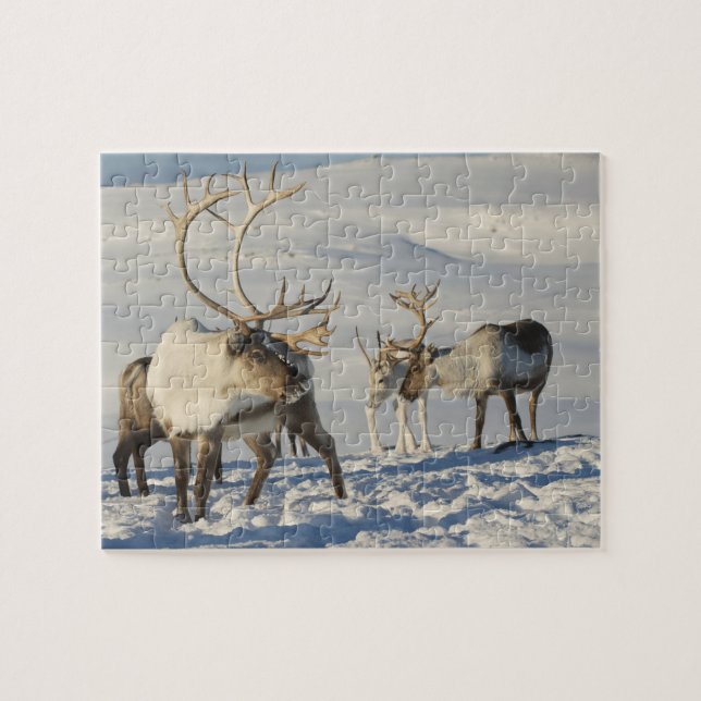 Reindeer Game Puzzle (Horizontal)