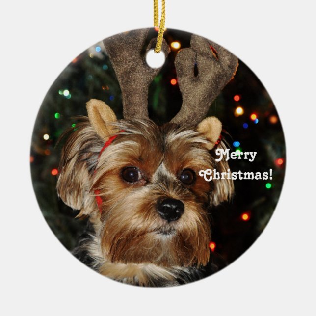 Reindeer Horns Yorkshire Terrier,Merry Christmas! Ceramic Tree Decoration (Front)