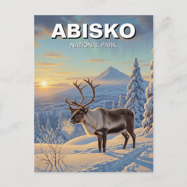 Reindeer in Abisko National Park Sweden Travel Postcard (Front)