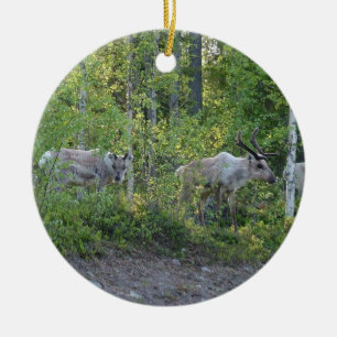 Reindeer in Lapland ornament