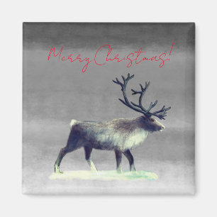 Reindeer in winter day  magnet