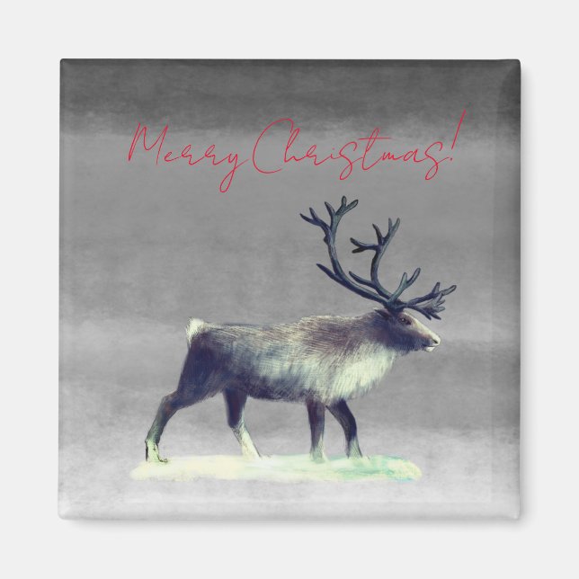 Reindeer in winter day  magnet (Front)