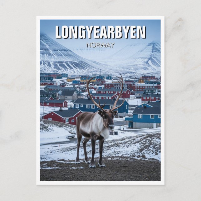 Reindeer Longyearbyen Svalbard Norway Postcard (Front)