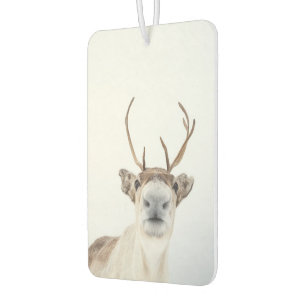 Reindeer Nature Photo Car Air Freshener