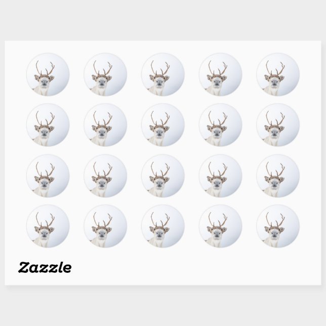 Reindeer Nature Photo Classic Round Sticker (Sheet)