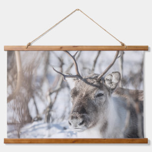 Reindeer Nature Photo Hanging Tapestry