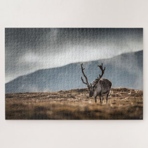 Reindeer Nature Photo Jigsaw Puzzle