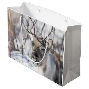 Reindeer Nature Photo Large Gift Bag