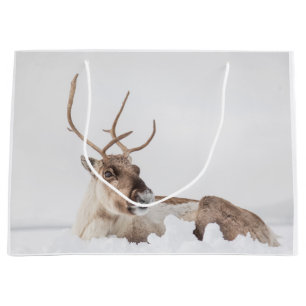 Reindeer Nature Photo Large Gift Bag