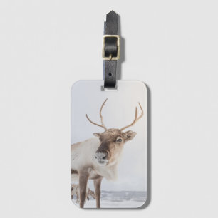 Reindeer Nature Photo Luggage Tag