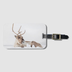 Reindeer Nature Photo Luggage Tag