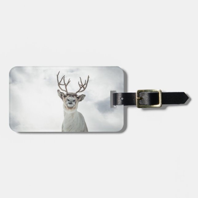 Reindeer Nature Photo Luggage Tag (Front Horizontal)