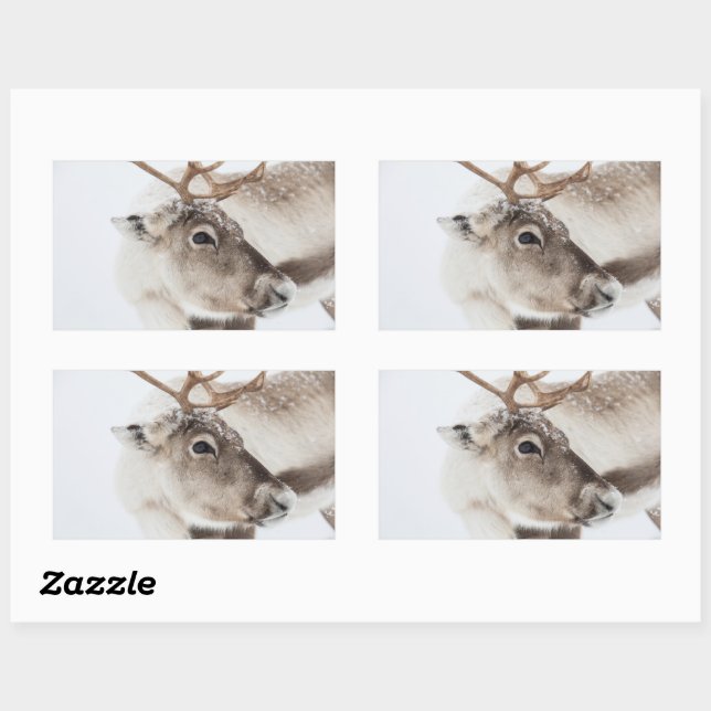 Reindeer Nature Photo Rectangular Sticker (Sheet)