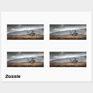 Reindeer Nature Photo Rectangular Sticker