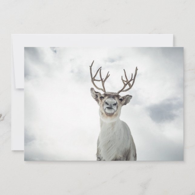 Reindeer Photo Card (Front)