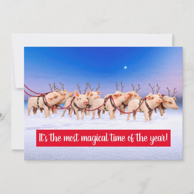 Reindeer Pigs Invitation (Front)