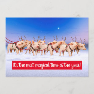 Reindeer Pigs Invitation