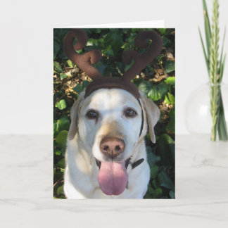 Reindeer Prima Holiday Card