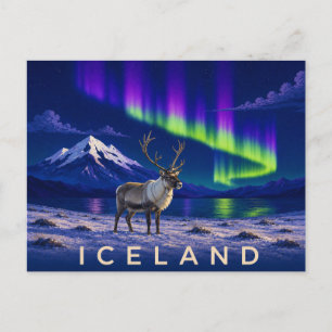 Reindeer Under the Aurora   Iconic Iceland Postcard