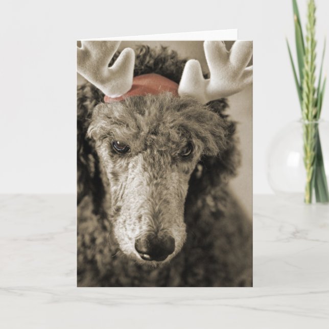 Reindoodle Holiday Card III (Front)