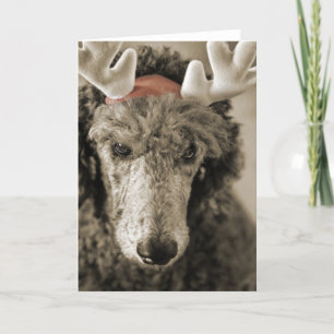Reindoodle Holiday Card III