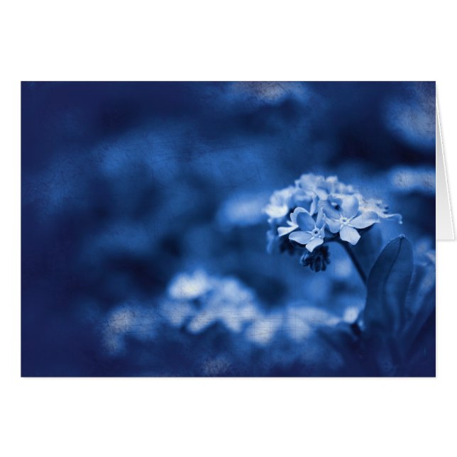 reinvention (Front Horizontal)