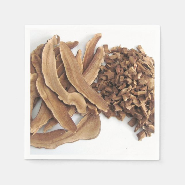 Reishi Mushroom Paper Napkin (Front)