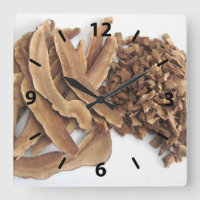 Reishi Mushroom Wall Clock