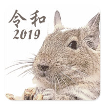 Reiwa 2019► DEGU ► Rodents