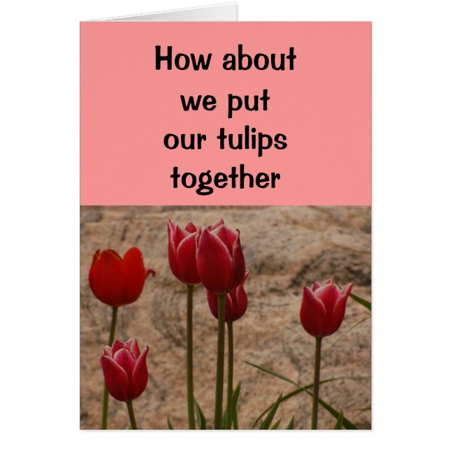 Relationship/Dating - How about we put our tulips (Front)