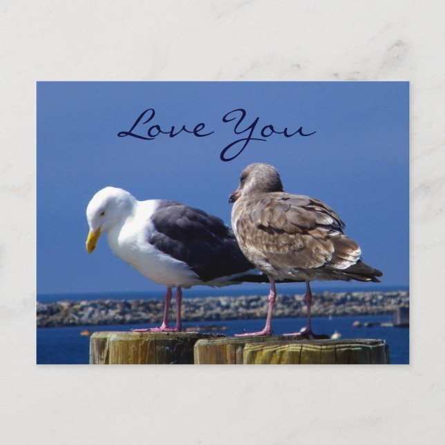 Relationships_ Postcard (Front)