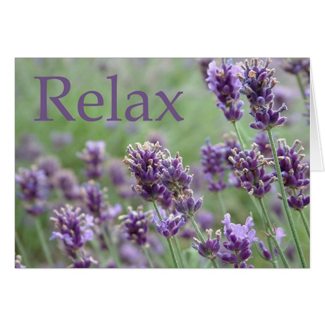 Relax (Front Horizontal)