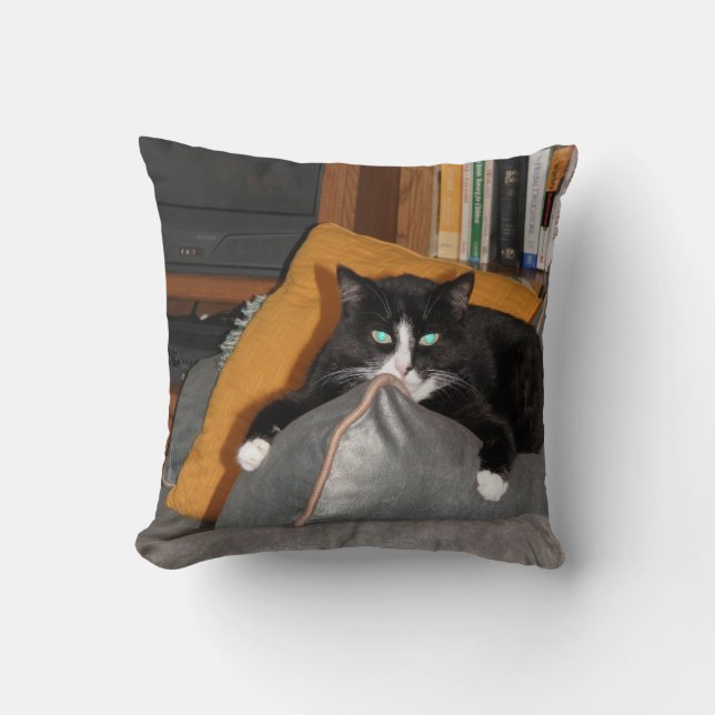 Relax  A Cat Cushion (Front)