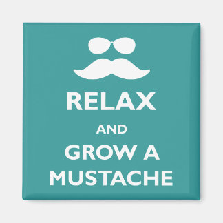 Relax and Grow a Moustache Magnet