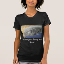 Relax! Grey Purring Cat - black T-Shirt for Women