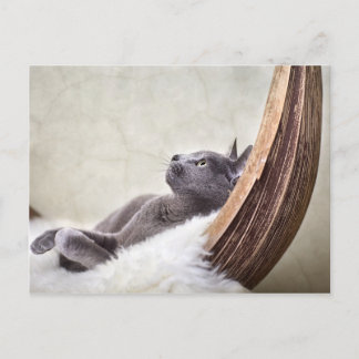 Relax Postcard
