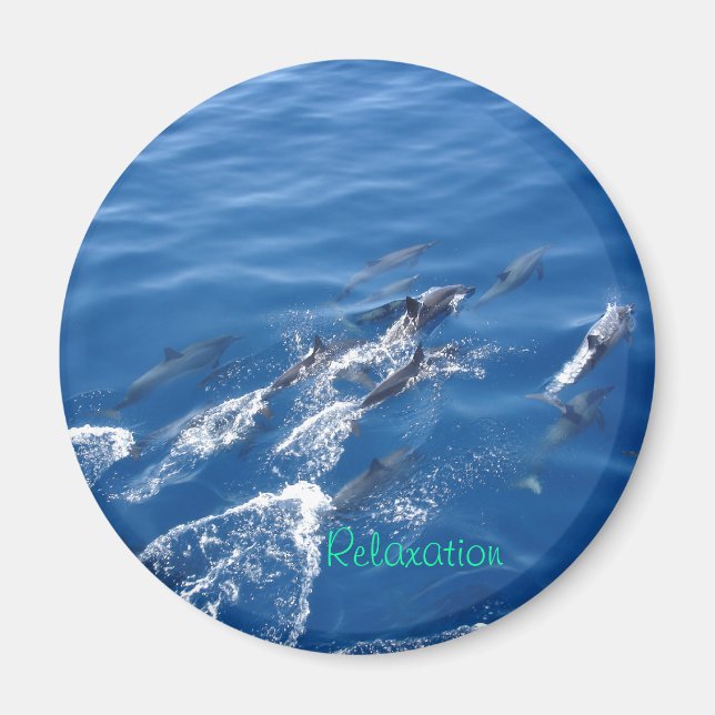 Relaxation Magnet (Front)