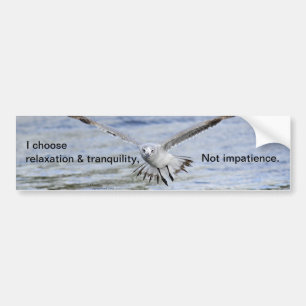 Relaxation tranquillity impatience Bumper Sticker