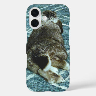 Relaxed Bunny 1 iPhone 16 Case