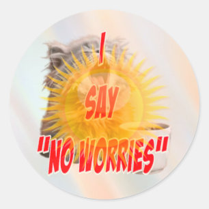 Relaxed Cat ‘No Worries’ Design Classic Round Sticker